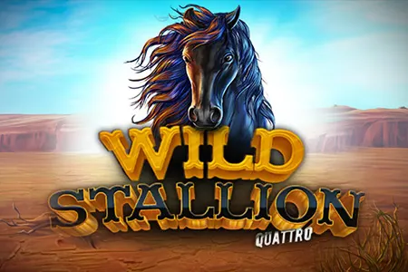 Wild Stallion